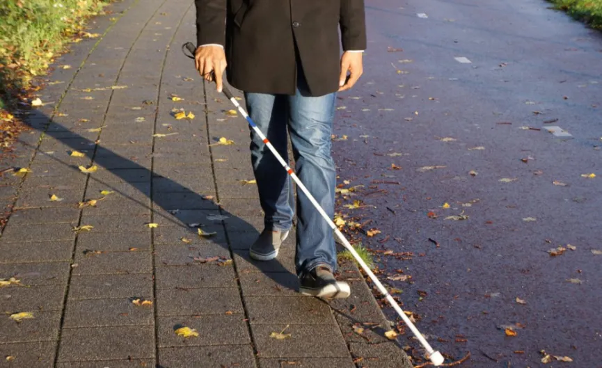 Braille, perros de asistencia, robots, lupas inteligentes y hasta mochilas y maletas con IA para ayudar a personas con problemas visuales