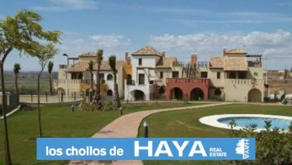 Cerberus. Juan Hoyos sustituye al Ceo de Haya por pasarse de especulador
