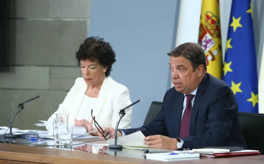 Consejo de Ministros. Isabel Celaá (PSOE) coincide con Rocío Monasterio (Vox):  puede haber gobierno aunque no sea de coalición