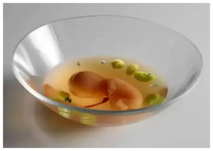 Comerse un “feto en líquido amniótico”, el nuevo plato del cocinero Aduriz, con el apoyo del Gobierno Sánchez y de Netflix, cómo no