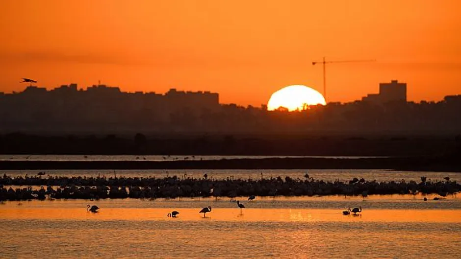 Al despuntar el sol nacemos, morimos en el ocaso