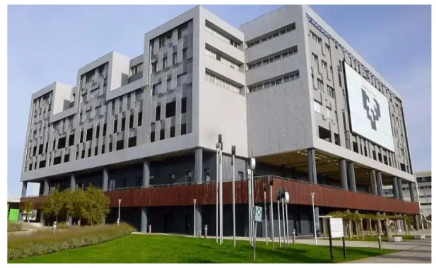 Educación. Hablamos Español alerta de la euskaldunización de la Universidad del País Vasco (UPV-EHU)