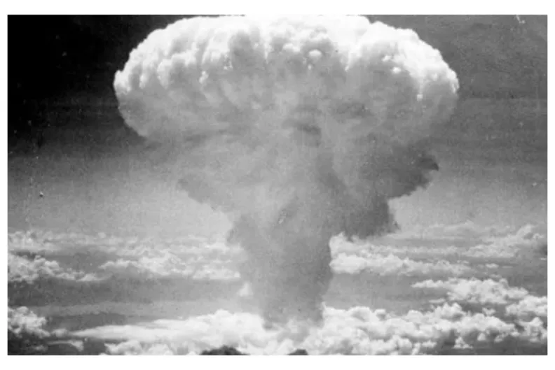 No existe la guerra nuclear limitada... o táctica. Mejor firmar la paz