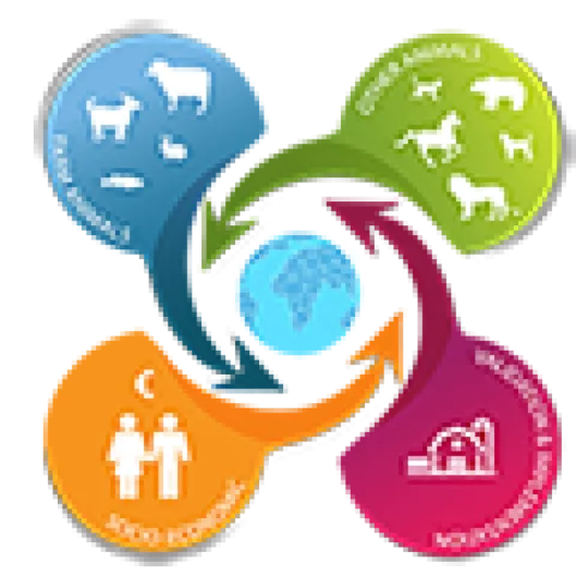 España, campeona del mundo