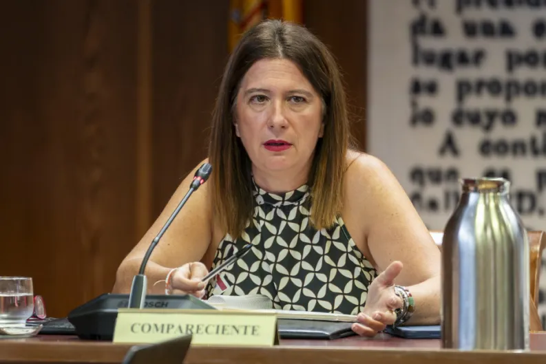Diario de la corrupción sanchista. Leire Díez recurre la unificacion de su caso en la Audiencia Nacional