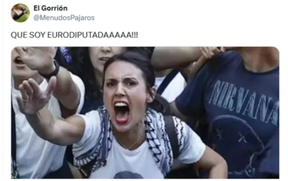 Memes. ¿Sabían ustedes que Irene es eurodiputada?