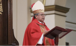 El cardenal colombiano Luis José Rueda Aparicio