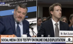 Fue el senador republicano Ted Cruz quien tensó aún más al ejecutivo de Meta, al preguntarle por el fácil acceso de los pedófilos a material en sus redes sociales