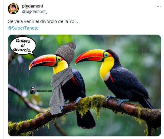 tucan tucan