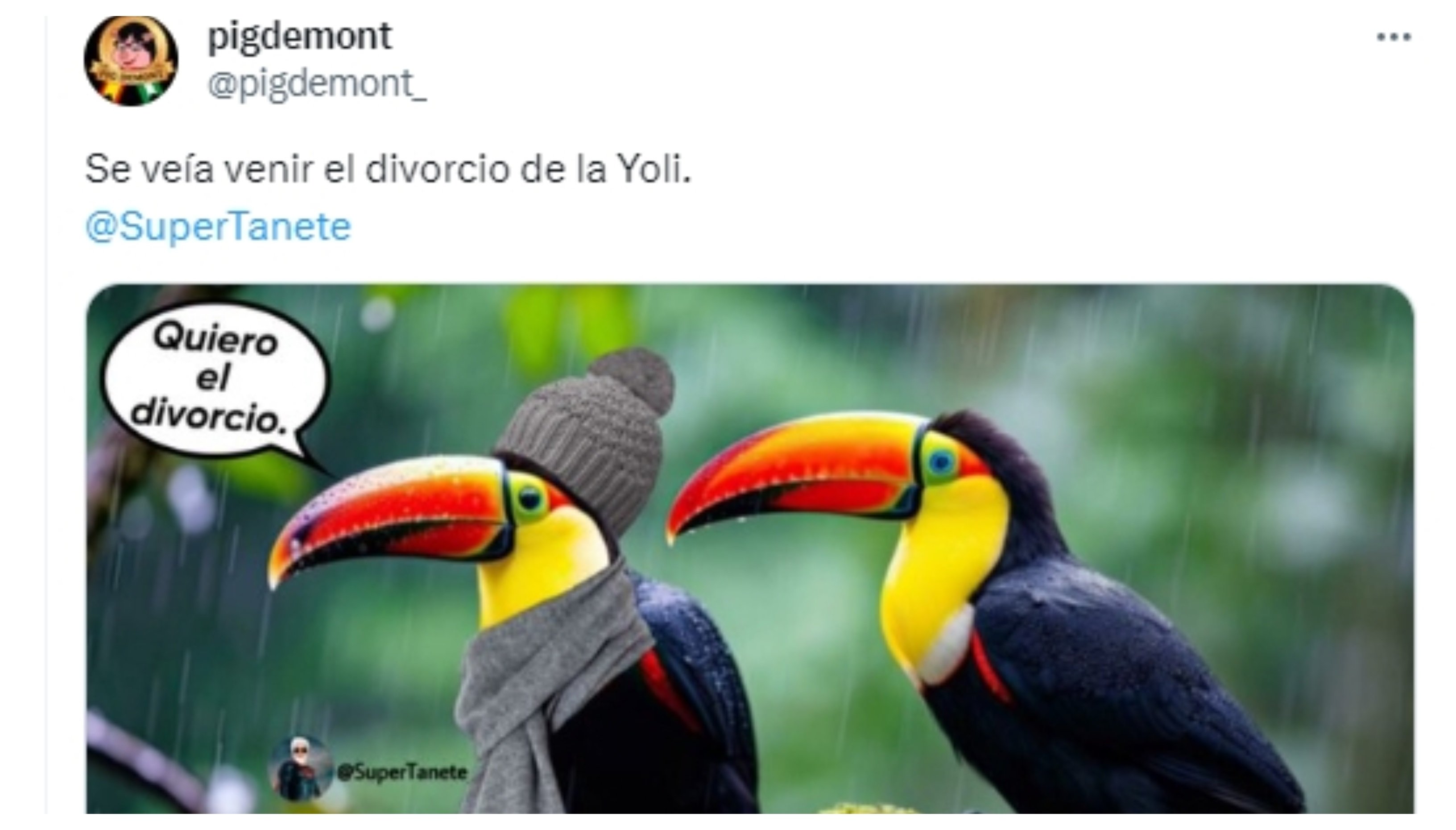 La vice se queda sola La vice se queda sola