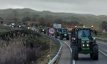 Las tractoradas se repiten por séptimo día consecutivo en muchas carreteras y ciudades españolas