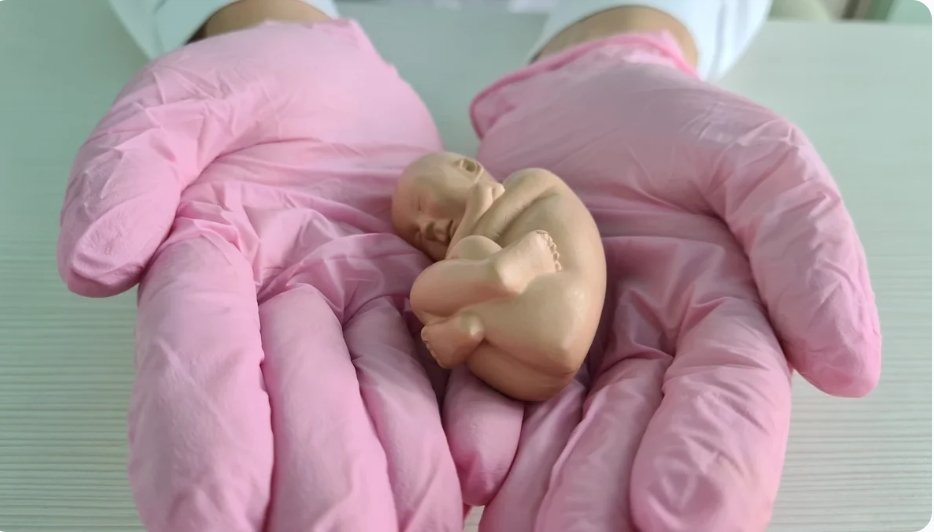 La degeneración de Irlanda: de 6.666 abortos en 2019 a 10.000 en 2023 La degeneración de Irlanda: de 6.666 abortos en 2019 a 10.000 en 2023