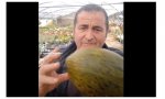 Un agricultor se pregunta: ¿Cuánto contamina un melón llegado desde más de 7.000 kilómetros, desde Brasil, a España?