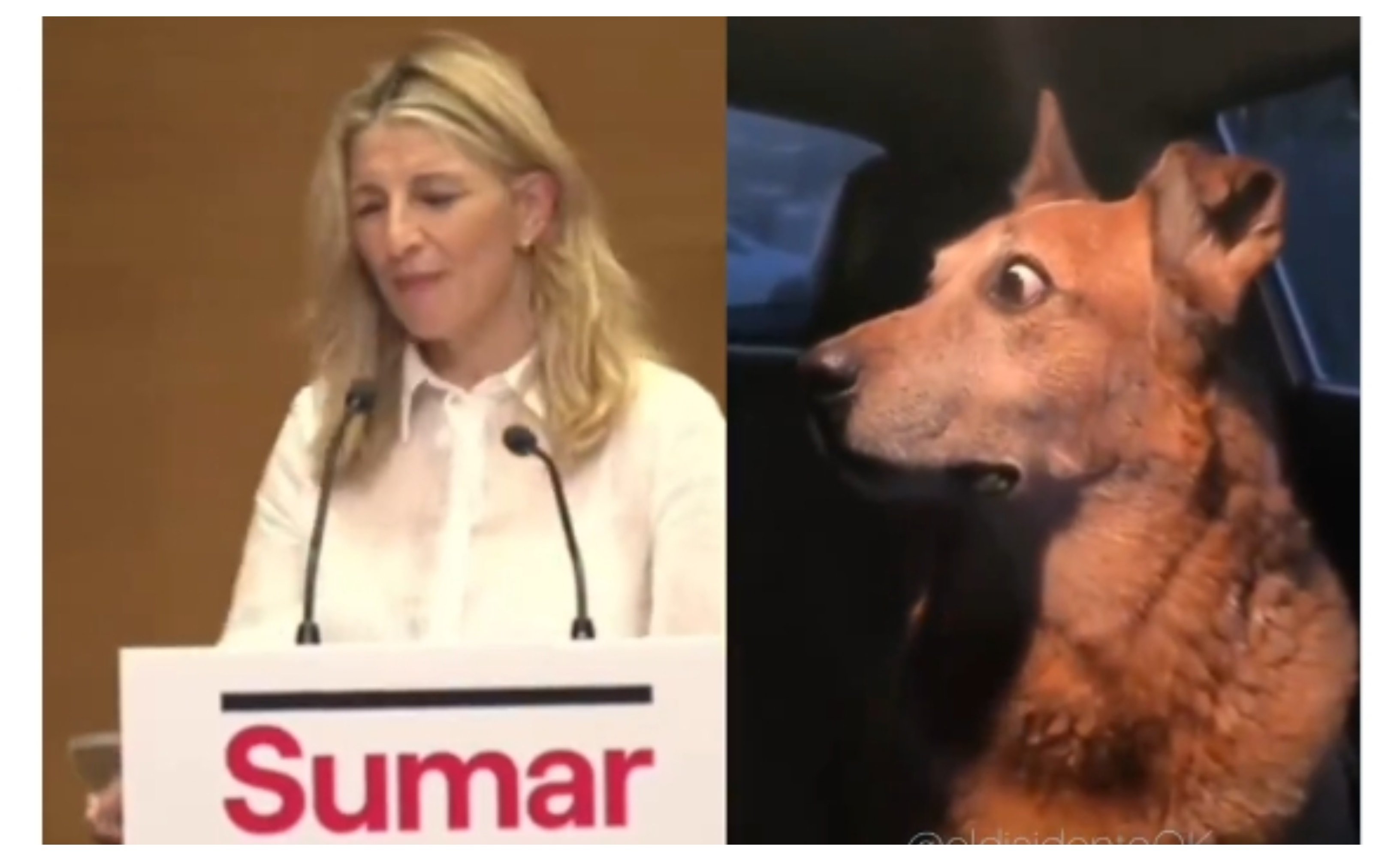 Cuando Yolanda Díaz se pone triste... "Piensa lo que pasaría si no estuvierais vosotros y vosotras en el Gobierno"... ¿Se lo imaginan? Cuando Yolanda Díaz se pone triste... "Piensa lo que pasaría si no estuvierais vosotros y vosotras en el Gobierno"... ¿Se lo imaginan?