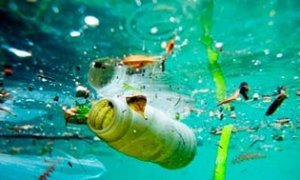 Contaminación mares y océanos