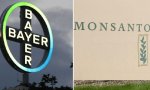 Bayer cae un 13% en bolsa por la multa a Monsanto
