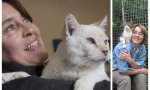 Por cada gato doméstico en el planeta, hay dos que viven en la calle... por una "irresponsabilidad nuestra" dice Agnes Dufau, especializada en Derecho Animal y Sociedad