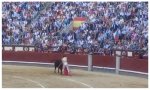"Piensa que es Pedro Sánchez”. Ocurrió en las Ventas… y el público aplaudía y se cachondeaba