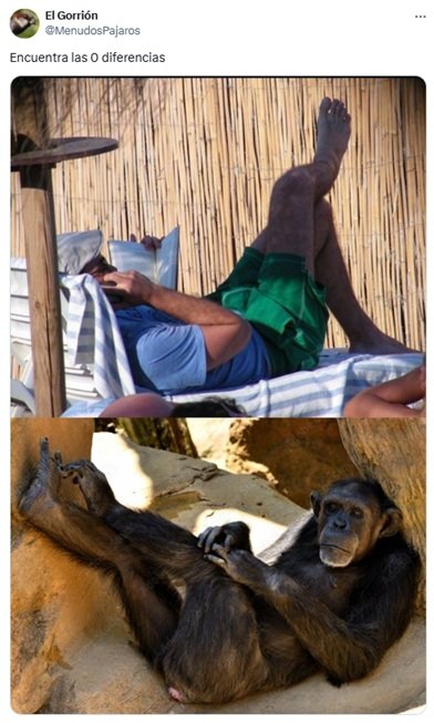 El juego de las diferencias