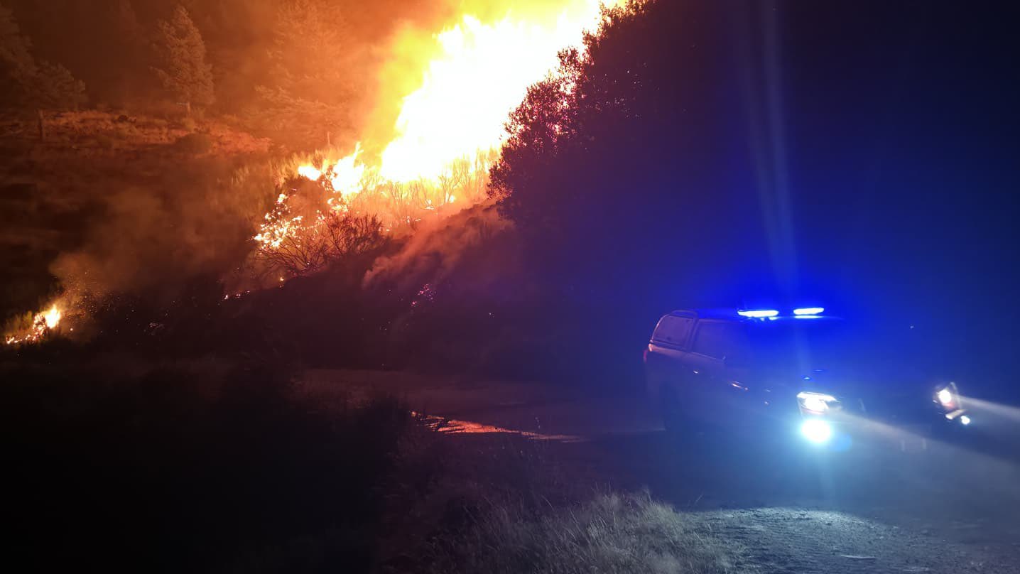 Dado que muchos de estos incendios, si no han sido provocados las condiciones los favorecen, también sería razonable explorar estrategias legales que impidan o reduzcan al mínimo este tipo de catástrofes inducidas