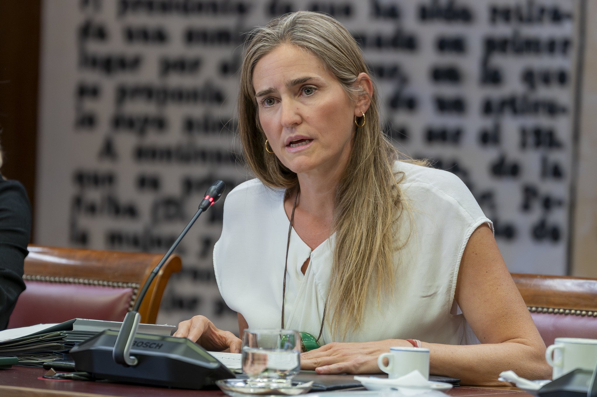 La vicepresidente Aagesen, otra rigurosa y mentirosa, como la ministra Robles... y así se ve en su comparecencia en el Senado por el tema de los incendios / Foto: Pablo Moreno
