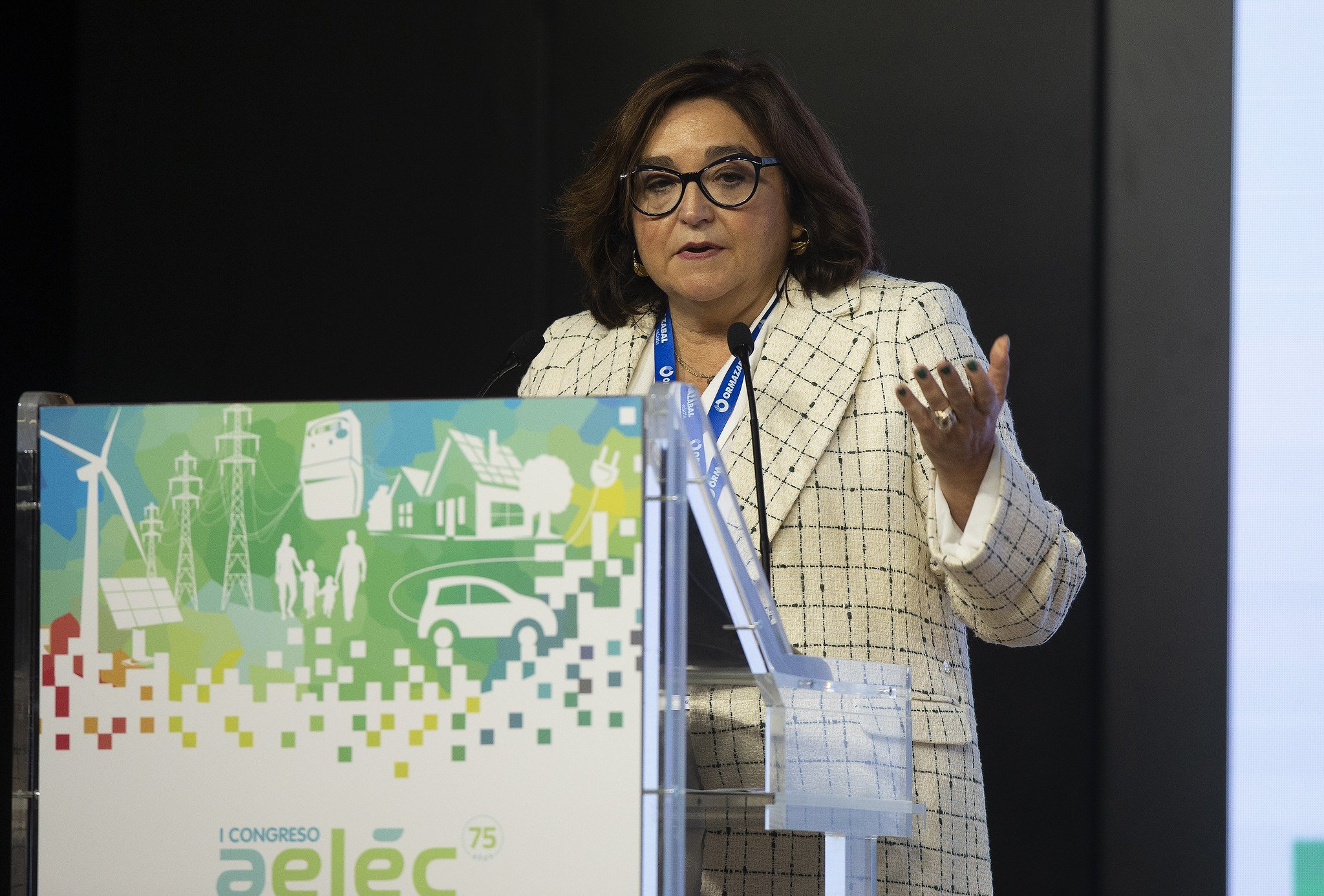 La patronal eléctrica Aelec, que preside Marina Serrano, advierte de saturación en la red de distribución eléctrica... siendo imposible conectar nueva demanda por temor a nuevos apagones / Foto: Pablo Moreno
