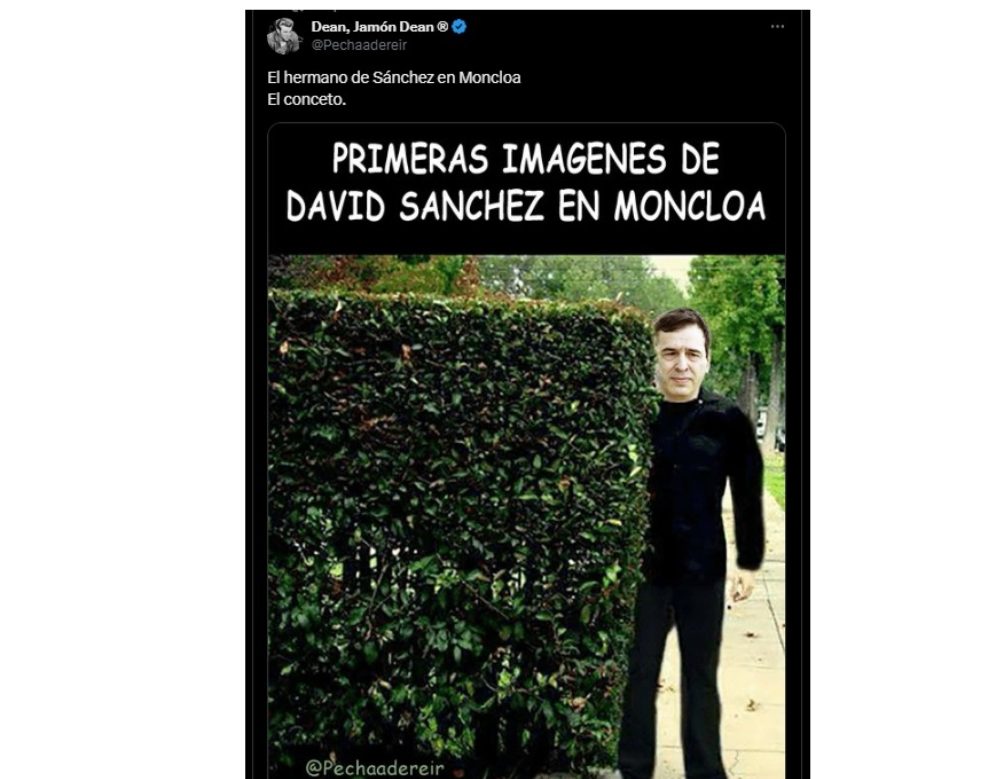 El hermanísimo okupa