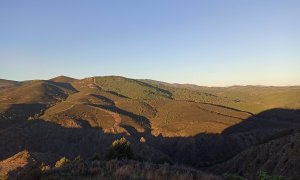 1758536517242 1758536517242