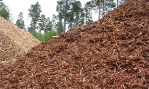 biomasa forestal biomasa forestal