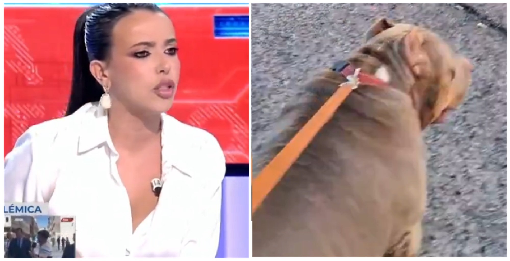 Sarah no quiere ser amiga de Daddy