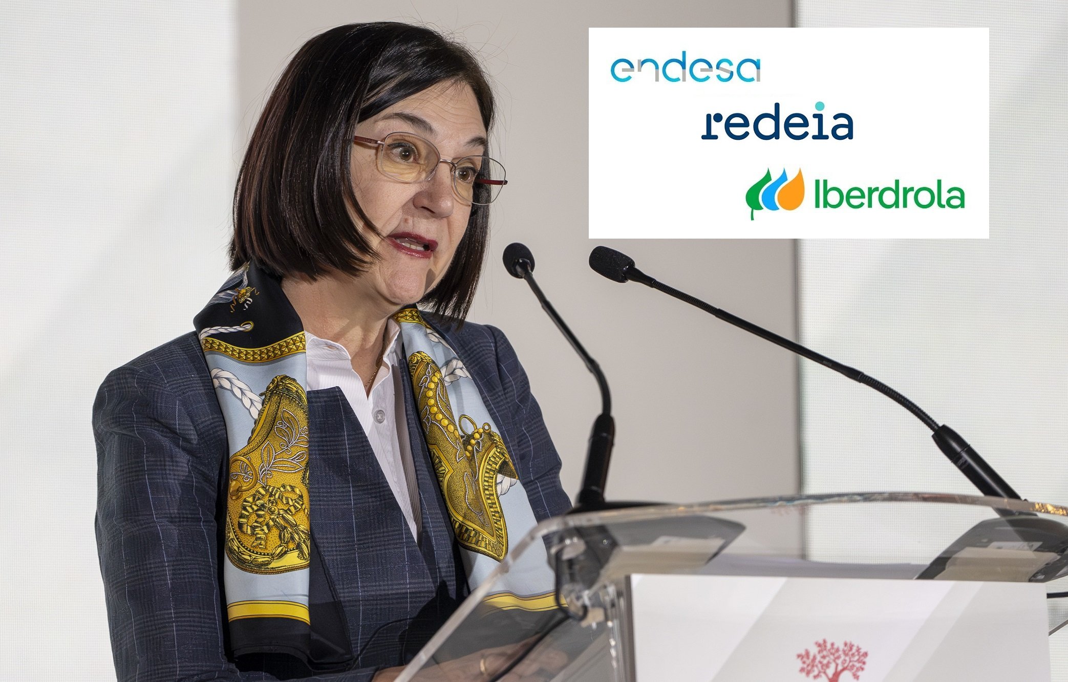 El regulador de la Competencia que preside Cani Fernández mejora la retribución de redes... algo que celebran Endesa, Redeia e Iberdrola El regulador de la Competencia que preside Cani Fernández mejora la retribución de redes... algo que celebran Endesa, Redeia e Iberdrola