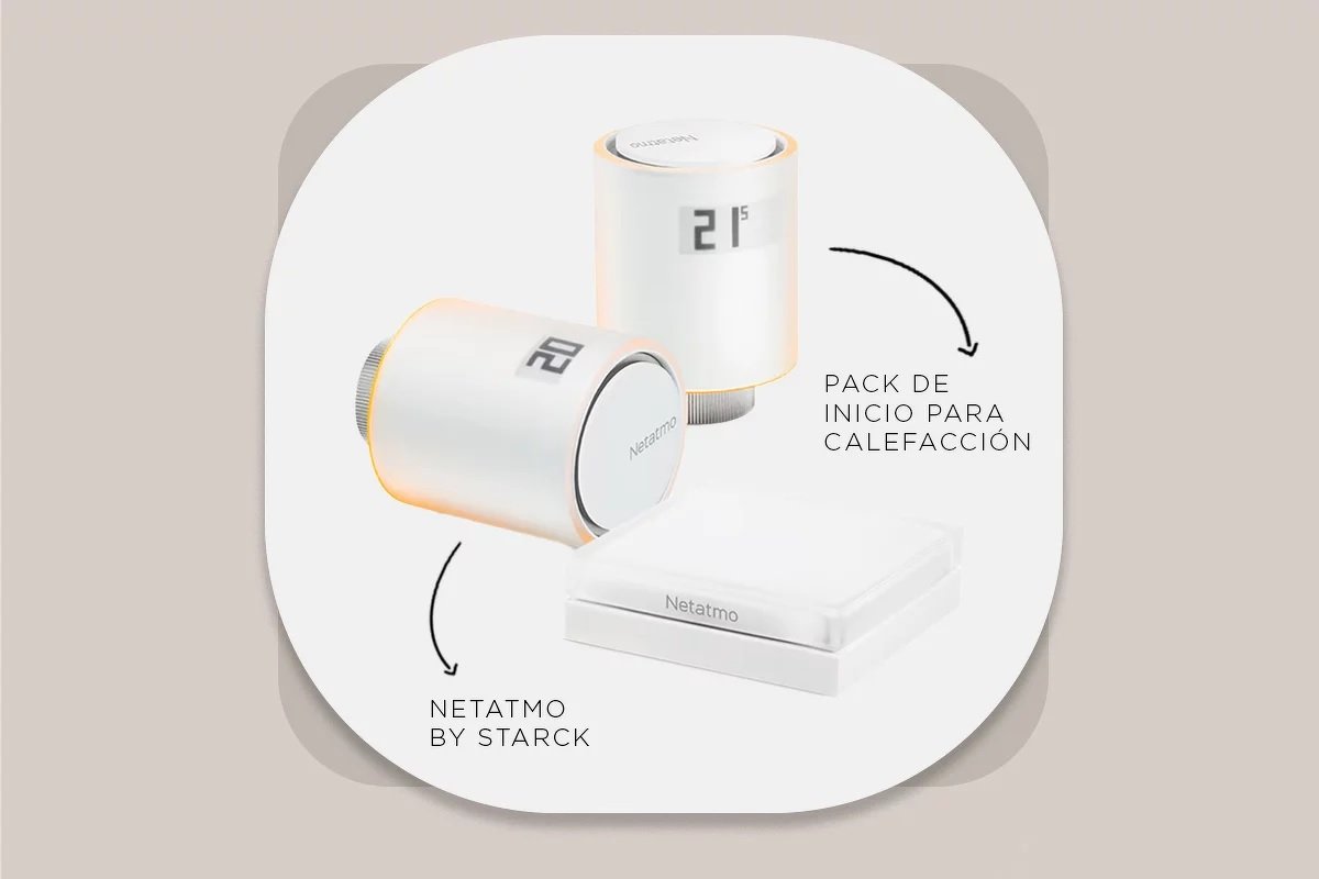 Creatividad: Paula Jara Xelmírez Creatividad: Paula Jara Xelmírez