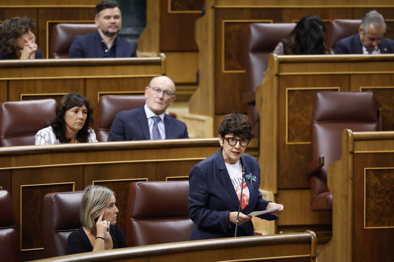 La diputada del Grupo Vasco (EAJ-PNV), Maribel Vaquero Montero La diputada del Grupo Vasco (EAJ-PNV), Maribel Vaquero Montero