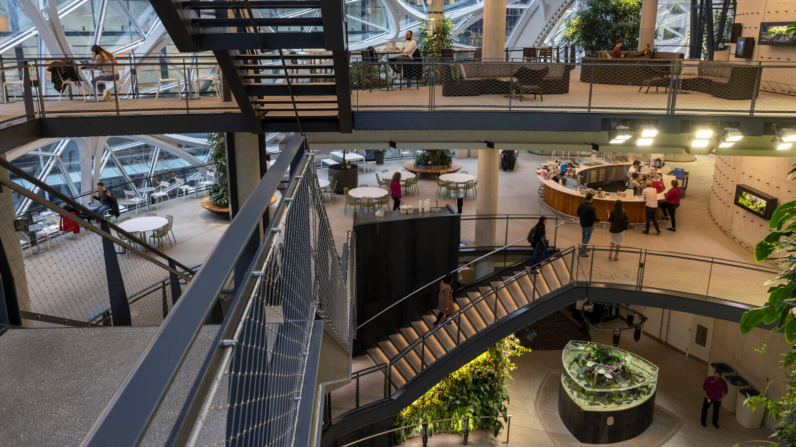 Amazon quiere tener menos empleados sí o sí, tanto en sus almacenes como en sus oficinas Amazon quiere tener menos empleados sí o sí, tanto en sus almacenes como en sus oficinas