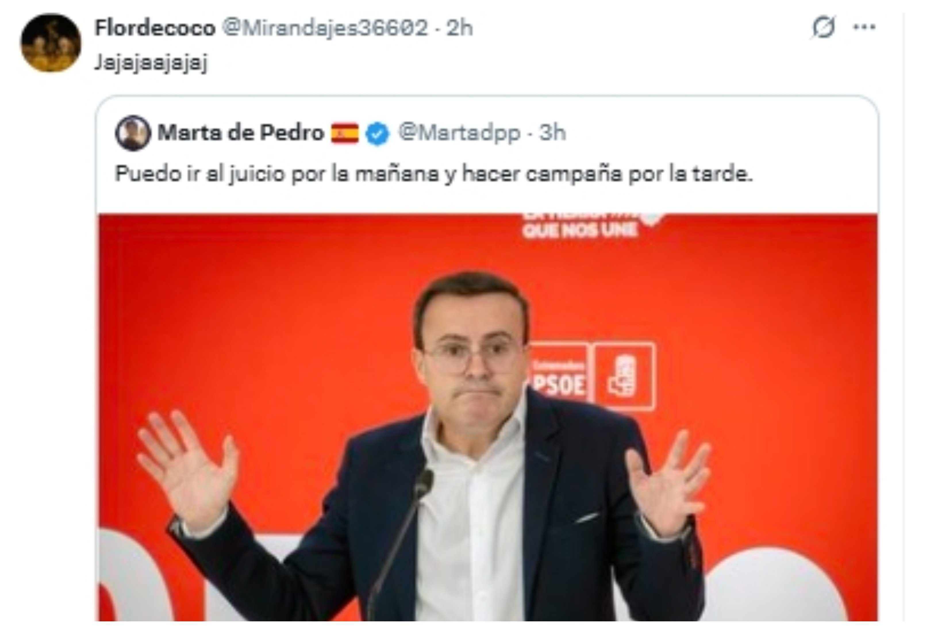 Gallardo: de los juzgados a los mítines