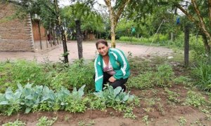 Ayuda en Acción fortalece la capacidad productiva de familias fruticultoras en los valles de Tupiza