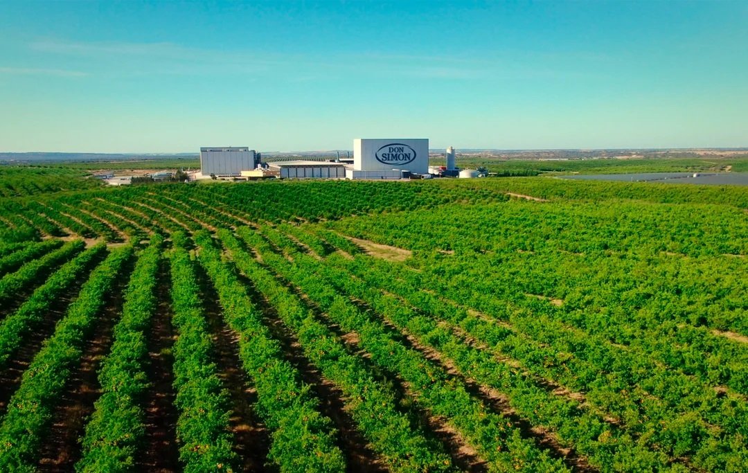 Don Simón es una de las marcas más conocidas del grupo García-Carrión, el cual tuvo un gran 2024 en resultados... y además, refinanció deuda Don Simón es una de las marcas más conocidas del grupo García-Carrión, el cual tuvo un gran 2024 en resultados... y además, refinanció deuda