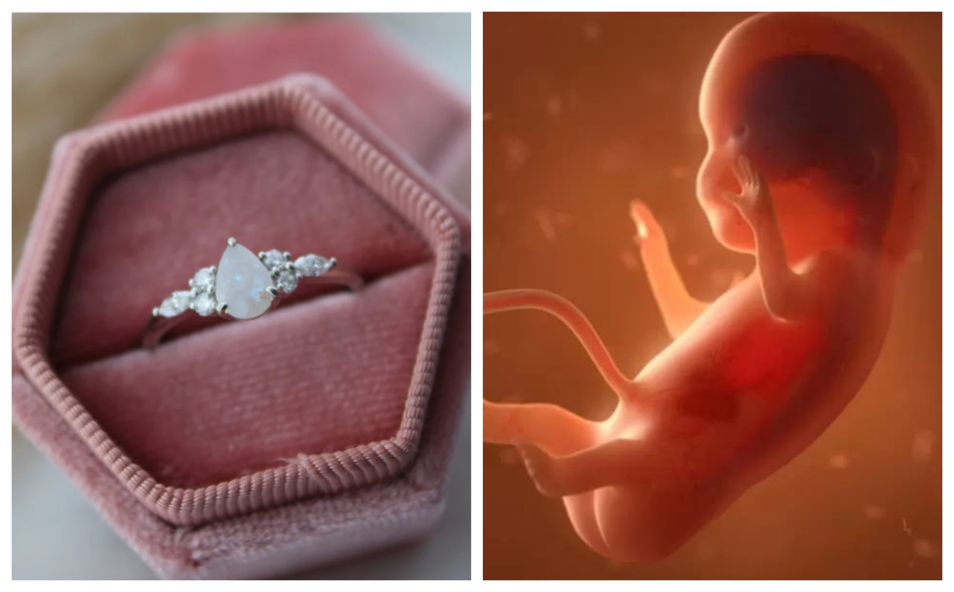 Esta sociedad da asco. Menos mal que La FIV era vida y no muerte, menos mal que había que terminar con los embriones sobrantes Esta sociedad da asco. Menos mal que La FIV era vida y no muerte, menos mal que había que terminar con los embriones sobrantes