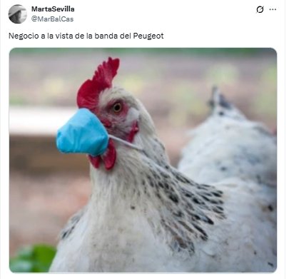 negocio