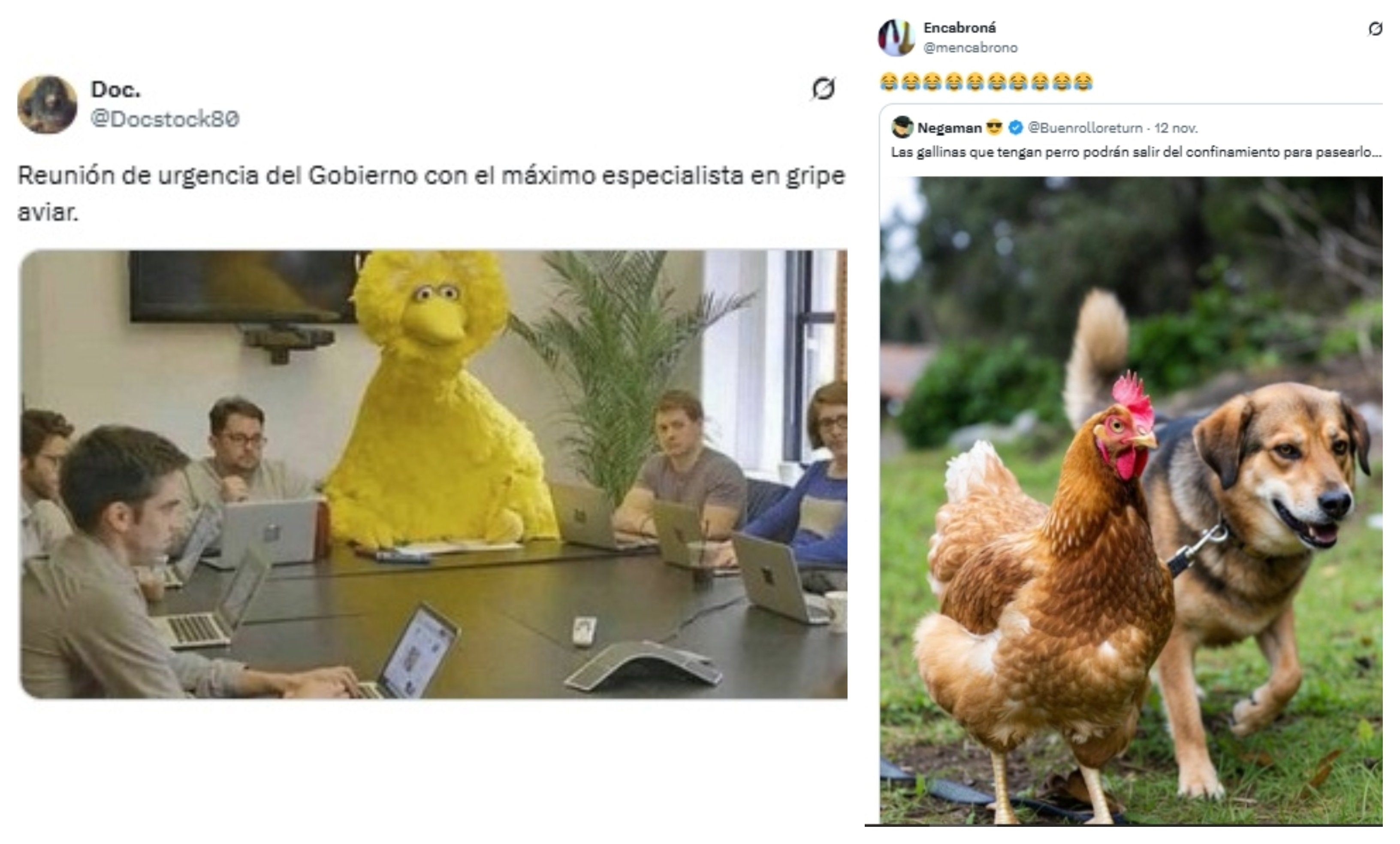 Confinamiento gallináceo