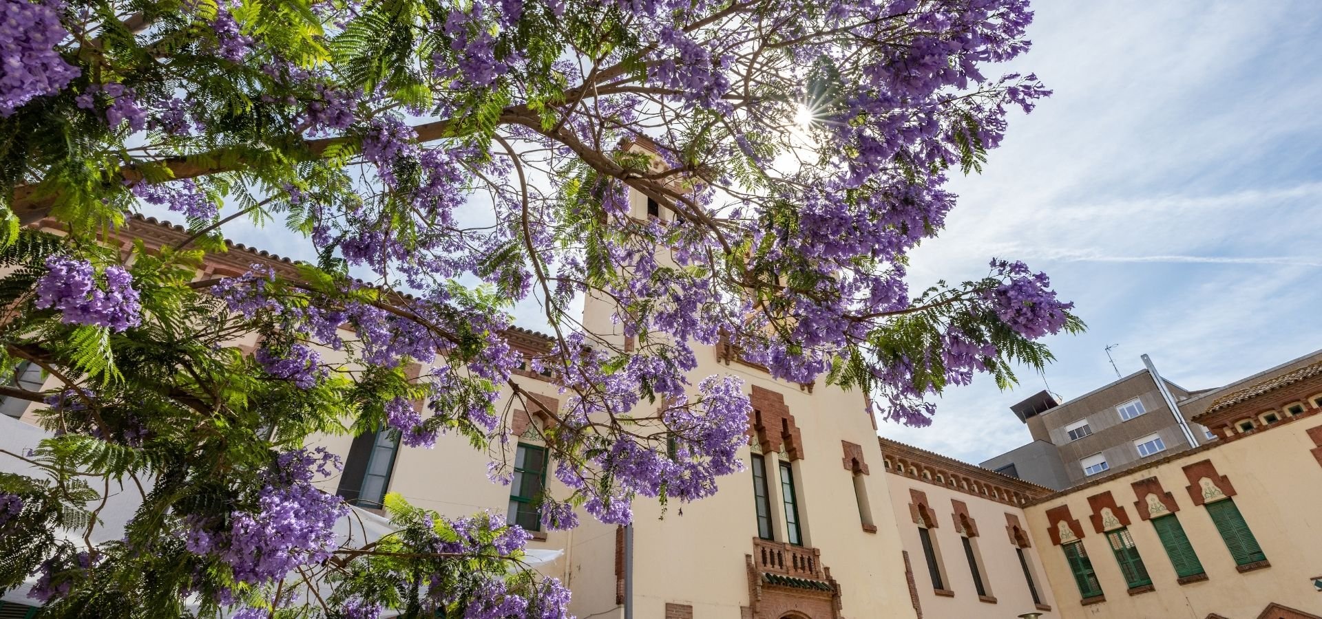 Acció Cassandra informa: han presentado una "denuncia en los juzgados de guardia de Granollers contra la Dra. Vernaza Morales por delito de odio derivado de discriminación lingüística en la atención a una joven víctima de agresión química en la fiesta mayor de Cardedeu"
