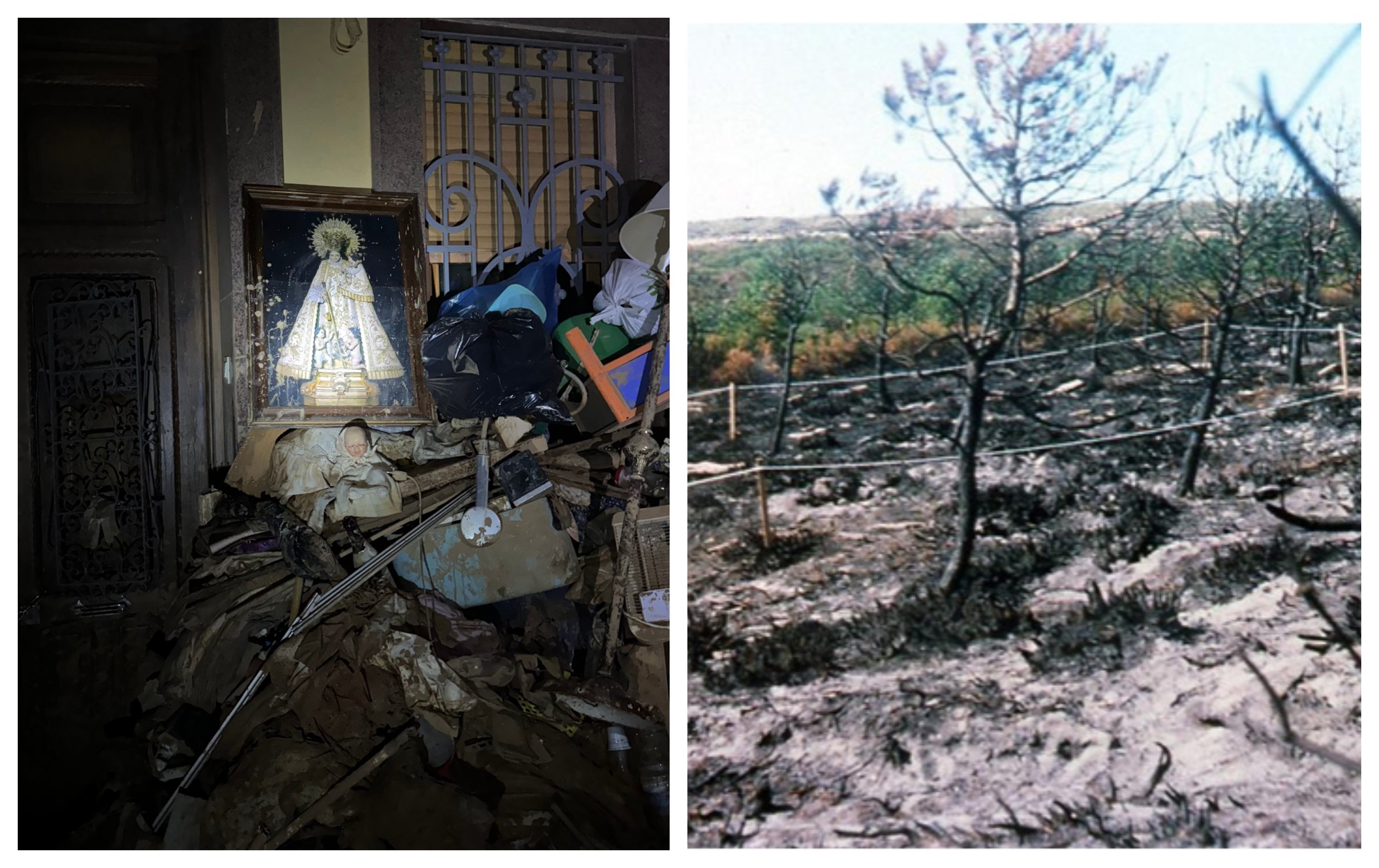 Los errores de los meteorólogos rebelan que la naturaleza se ríe de las 'evidencias científicas' y que cuando la naturaleza se vuelve salvaje poco puede hacer el hombre por detenerla. Más que de culpables hay que hablar de víctimas Los errores de los meteorólogos rebelan que la naturaleza se ríe de las 'evidencias científicas' y que cuando la naturaleza se vuelve salvaje poco puede hacer el hombre por detenerla. Más que de culpables hay que hablar de víctimas