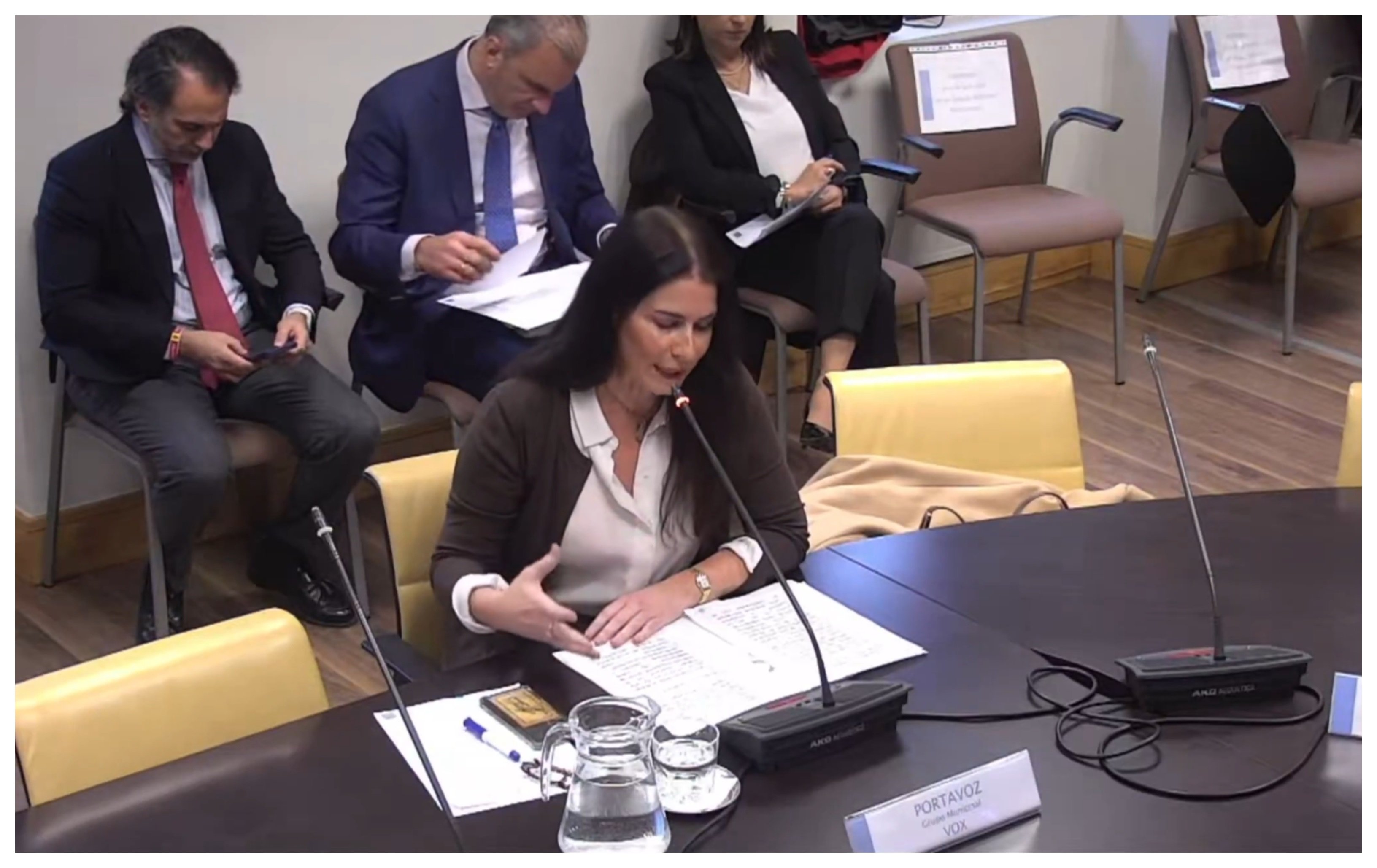 Carla Toscano (Vox) traduce: "Van a hablar de sexo, de homosexualidad y transexualidad a niños de 0 a 3 años. O sea, a bebés". "Señores, esto es repugnante, es gravísimo porque no sólo es adoctrinamiento, es corrupción de menores"