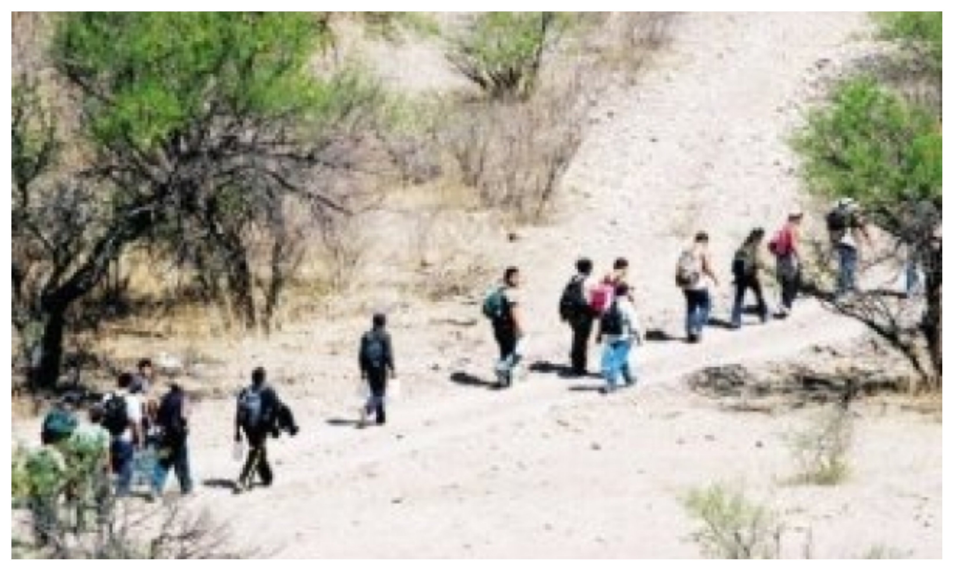 El 3,7 de la población mundial es migrante