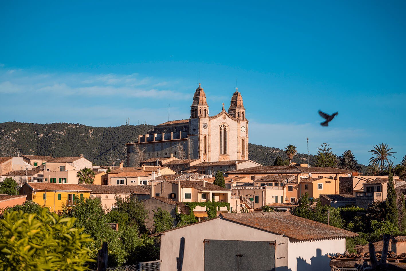 Un nuevo ejemplo que desmonta el discurso del Gobierno llega desde Calvià (Mallorca)