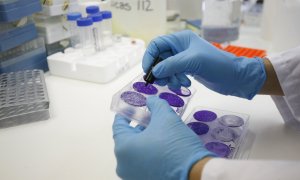 laboratorio e investigación / Foto: Pablo Moreno laboratorio e investigación / Foto: Pablo Moreno