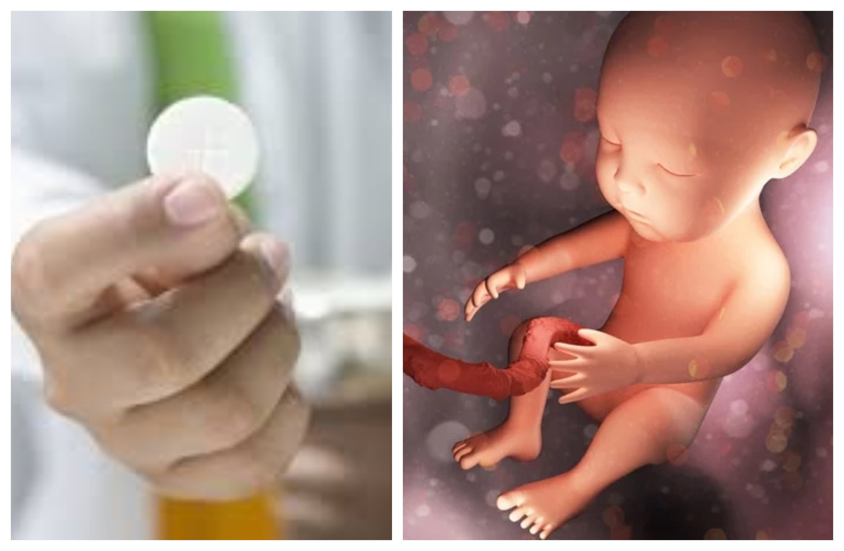 El siglo XXI es la blasfemia contra el Espíritu Santo: el bien se ha convertido en mal y el mal en bien