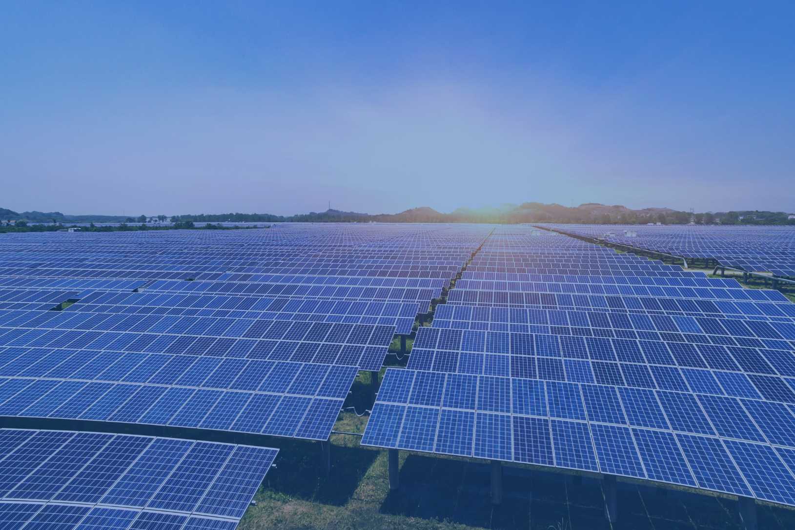 En la energía solar fotovoltaica se ve la burbuja, la especulación y el reflujo que ahora se vive en el negocio de las renovables