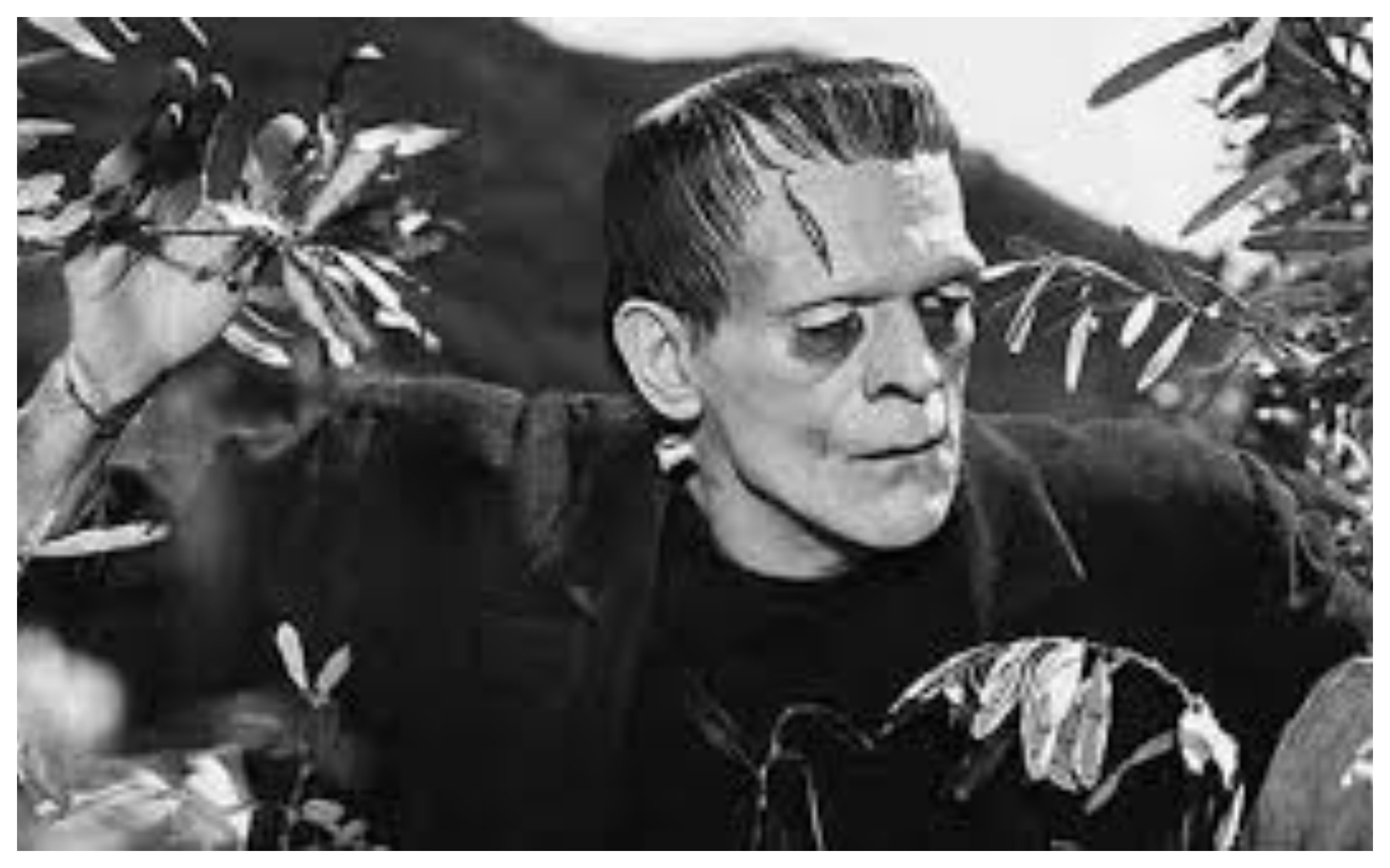 El hombre nunca crea y cuando recrea debe evitar... el mito de Frankenstein