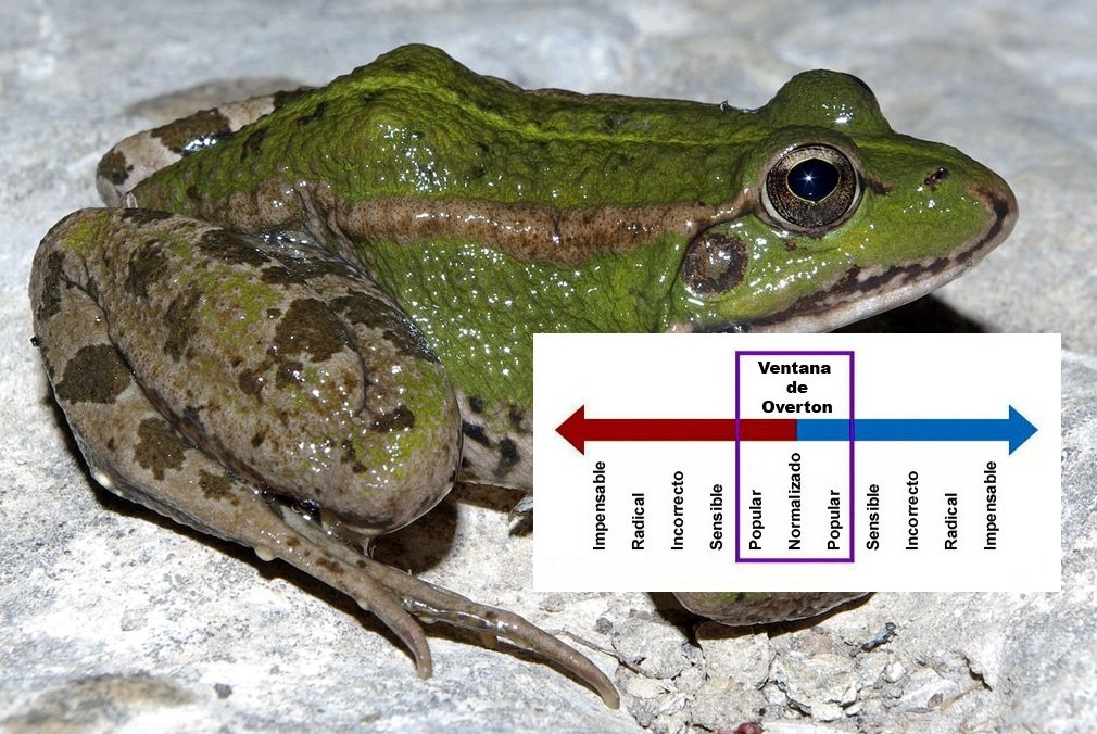 La alegoría de la rana cocida y la teoría de la ventana de Overton, dos técnicas de manipulación que explican, por ejemplo, que Occidente haya aceptado que el mero deseo individual pueda constituirse en fundamento exclusivo y excluyente para determinar la identidad sexual al margen de la realidad biológica
